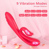 Swan Vibrator