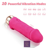 Pocket Pleasure Vibrator