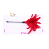 Feather tickler